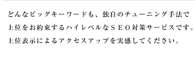 �ǂ�ȃr�b�O�L�[���[�h���A�Ǝ��̃`���[�j���O��@�Ł@��ʂ����񑩂���n�C���x���Ȃr�d�n�΍�T�[�r�X�ł��B�@��ʕ\���ɂ��A�N�Z�X�A�b�v���������Ă��������B